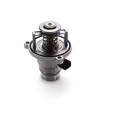 Genuine BMW Thermostat E60 F10 E63 F13 E65 F02 X5 X6 M2 M3 M4